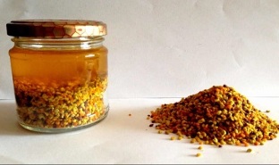 tincture of propolis for the treatment of prostatitis